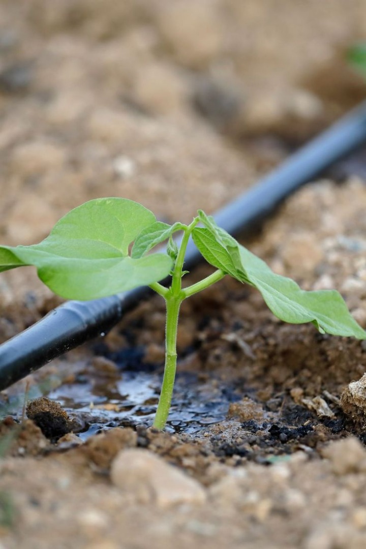 Drip Irrigation System