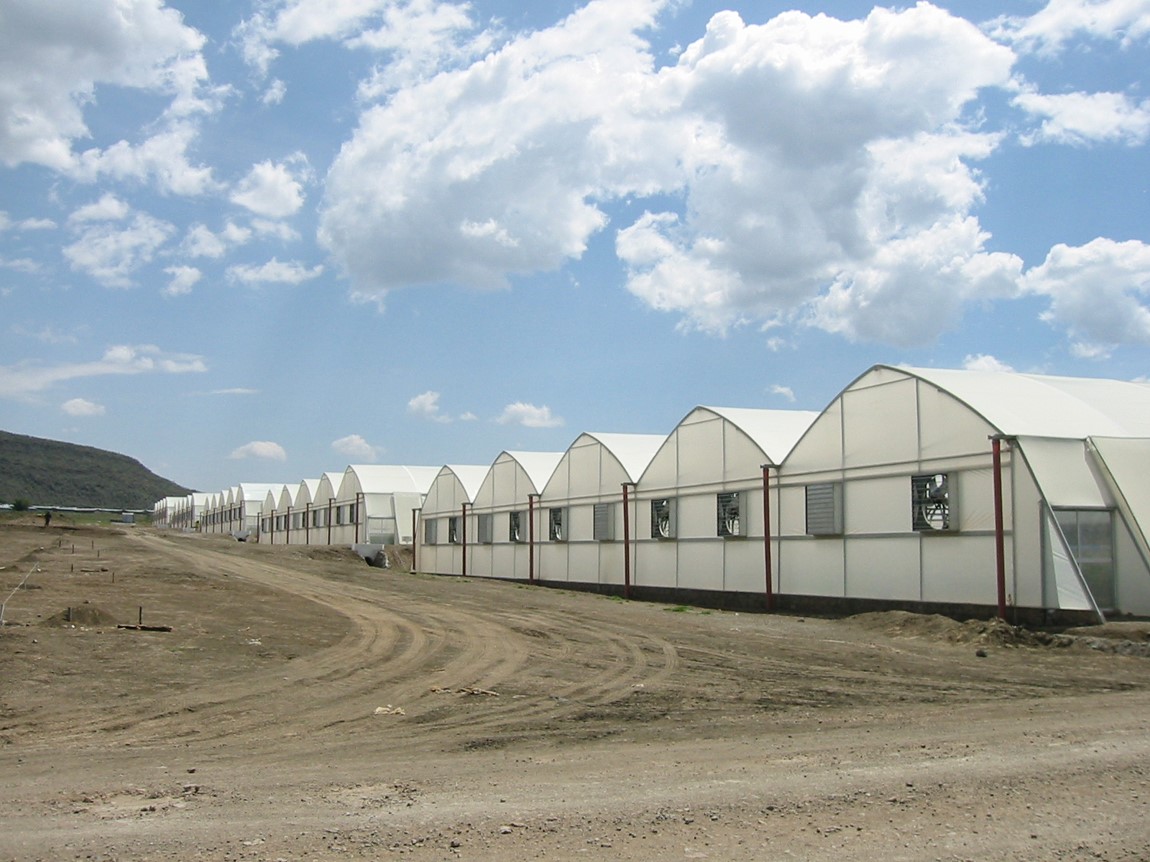 Greenhouse Installation